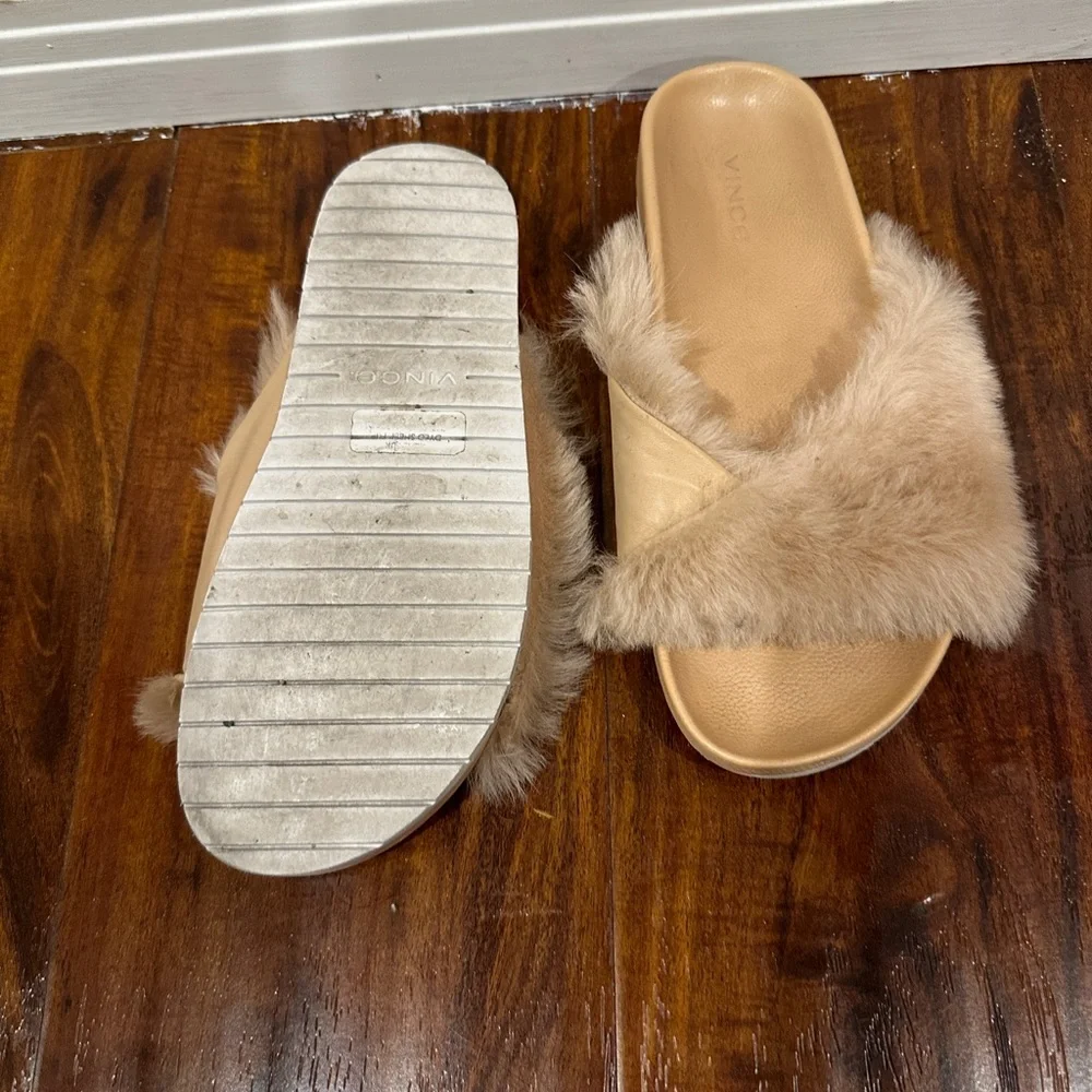 VINCE slides - Picture 3 of 3
